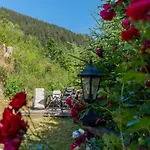 Apartment Huette Taube *