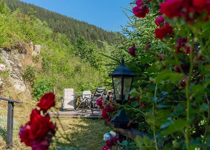 Huette Taube 巴德加斯坦